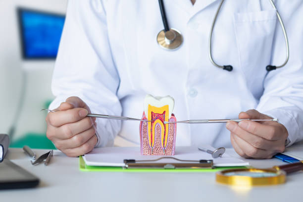 Best Emergency Treatment for Dental Infections or Abscesses in Havre De Grace, MD